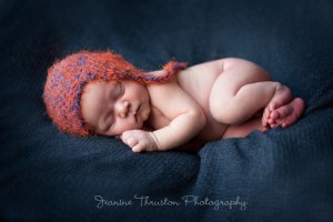 Jeanine Thurston Photography