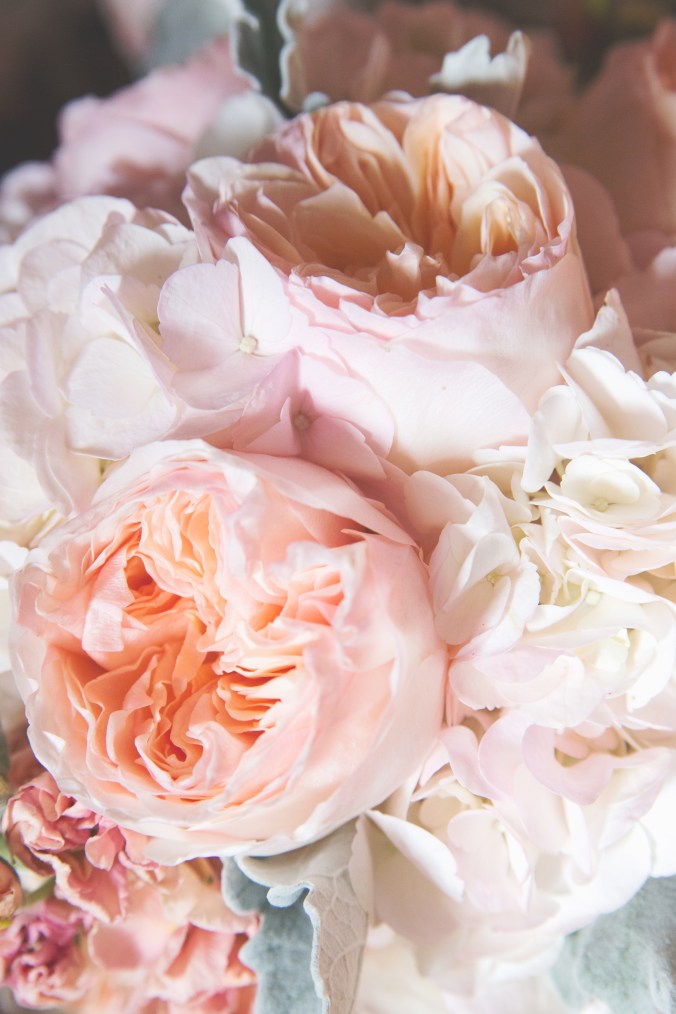 13_11_16_Brach-4002-artistic