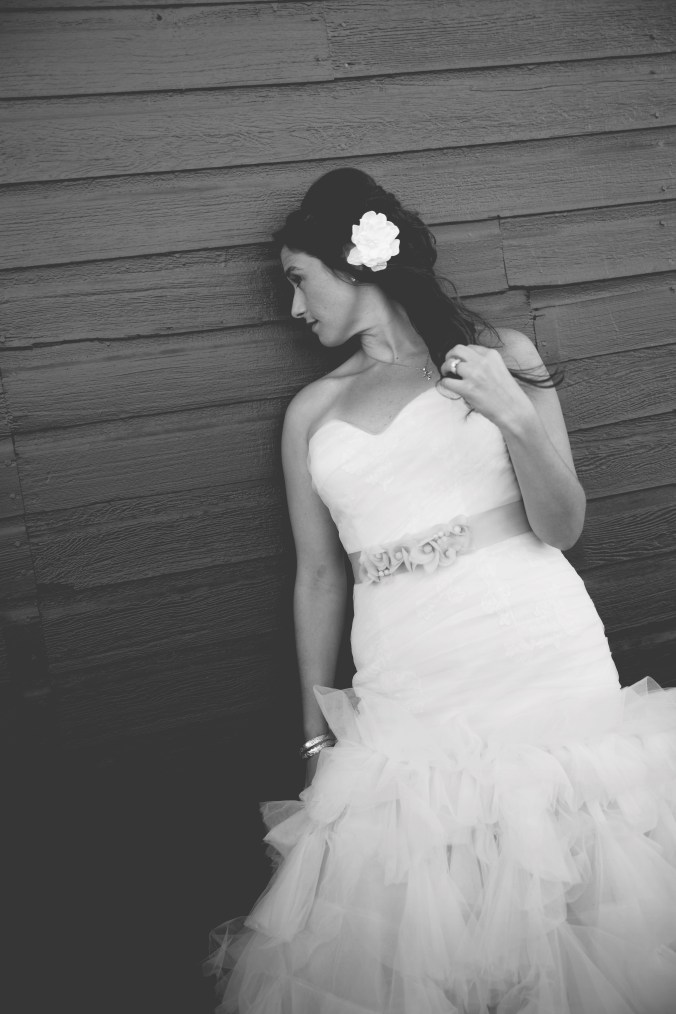 13_11_16_Brach-4080-artistic