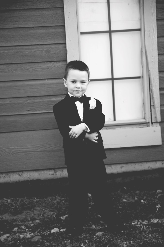 13_11_16_Brach-4112-artistic