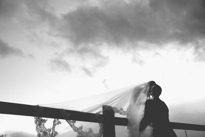 13_11_16_Brach-4680-artistic