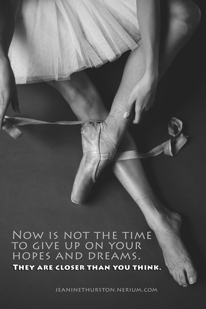 Nerium_JeanineThurston1