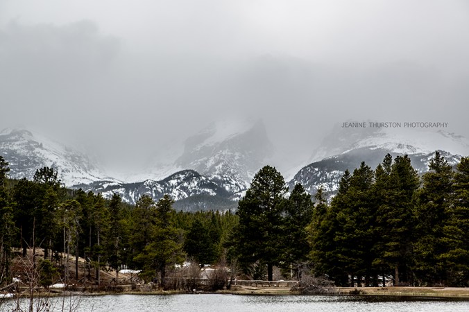 Neubacher_Griffin_-73